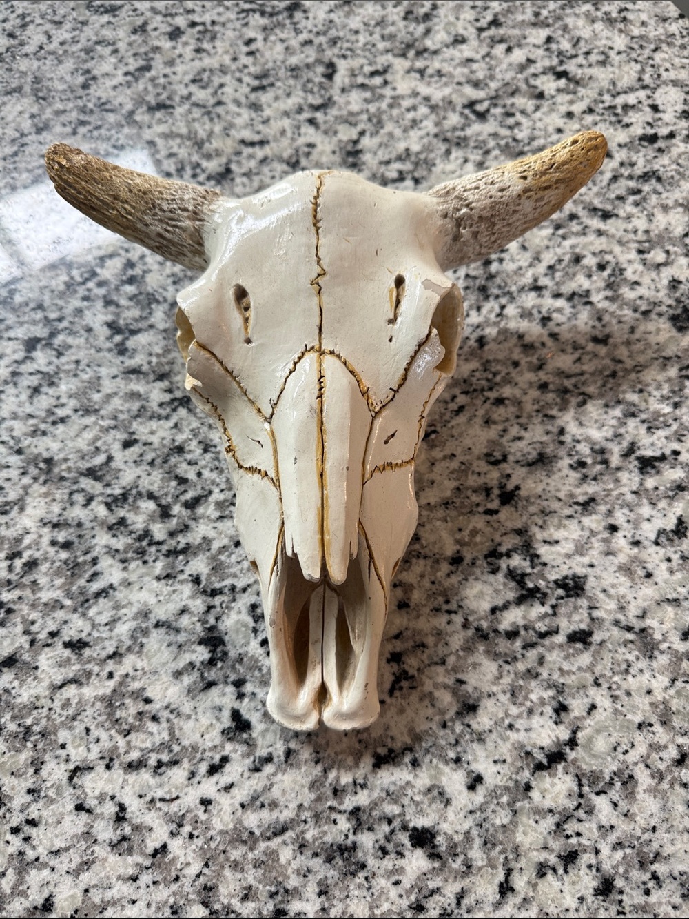 Decorative Faux Cow Skull Wall Accent
